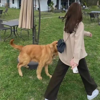 外星女生柴小七2